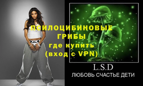 ешки Козельск