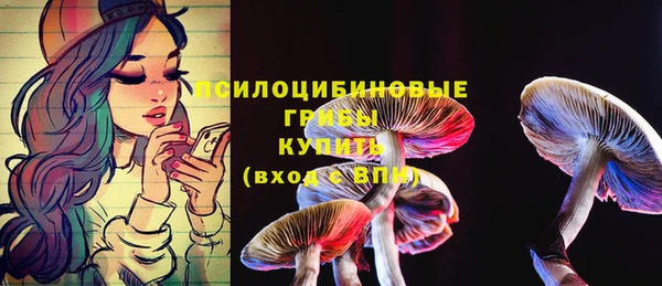 мдма Козловка