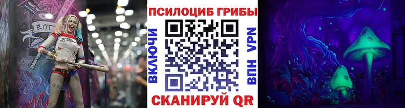 Купить где Балей Псилоцибиновые грибы Psilocybe