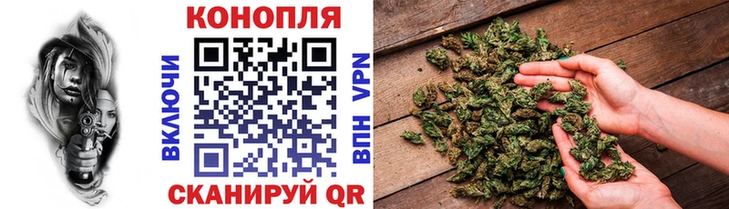 Бошки марихуана SATIVA & INDICA  Купить где  Балей 